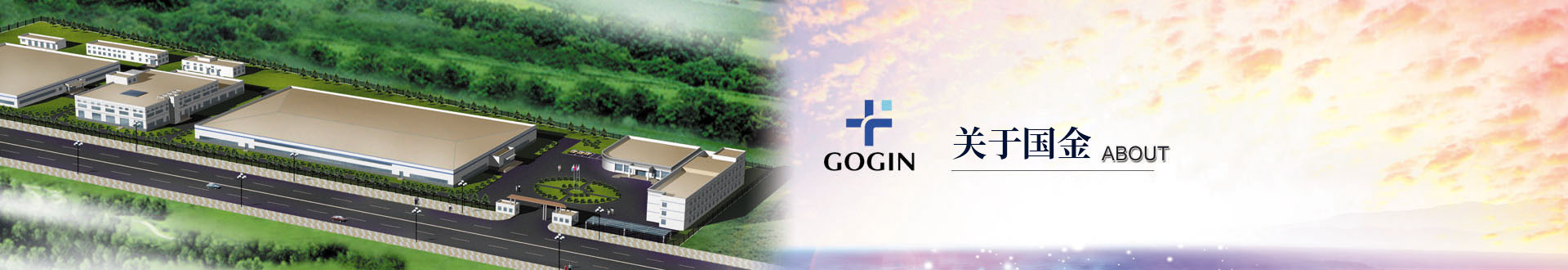關于國金